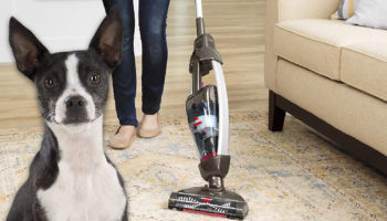 Best Stick Vacuum Cleaners for Pet hair