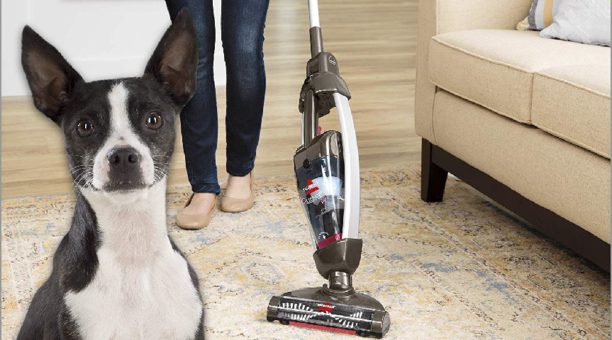 Best Stick Vacuum Cleaners for Pet hair